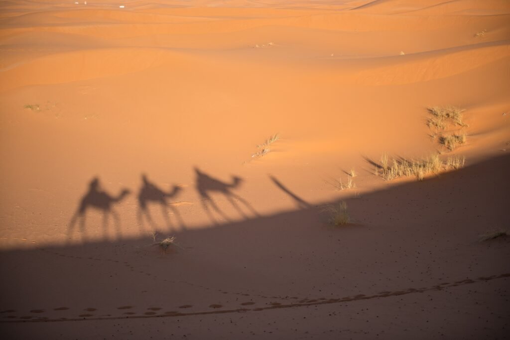 Tangier to Sahara Tour: 5 Days from Chefchaouen to Merzouga & Marrakech