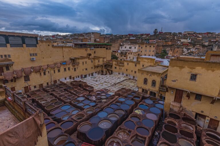 Chouara tannery in the Fes medina