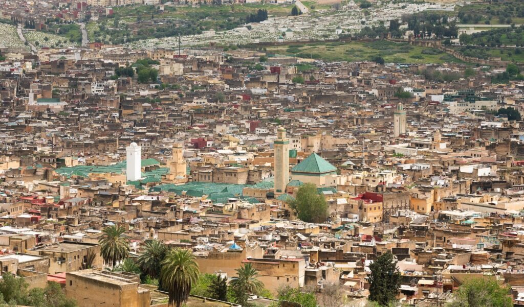 The Fes el-Bali medina seen from the hills