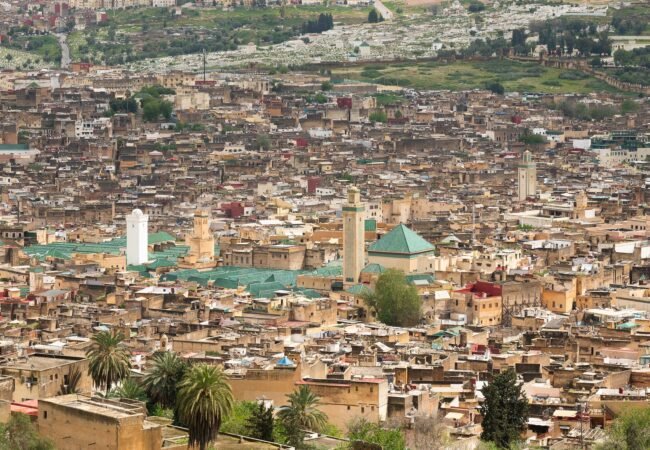 The Fes el-Bali medina seen from the hills